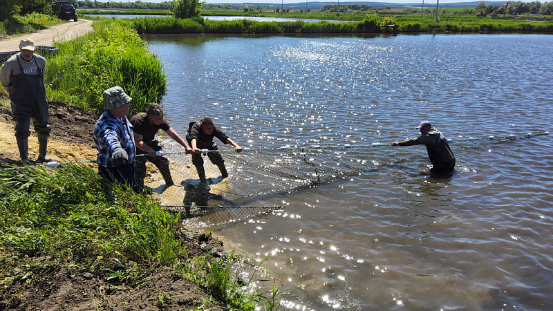 На прудах